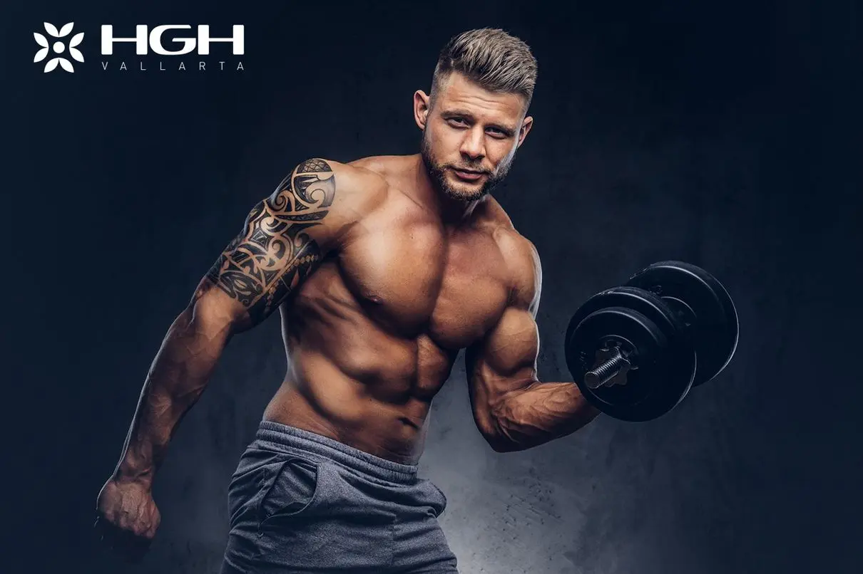 HGH Cycle 4 2 How Can You Benefit from the HGH Beginner Cycle
