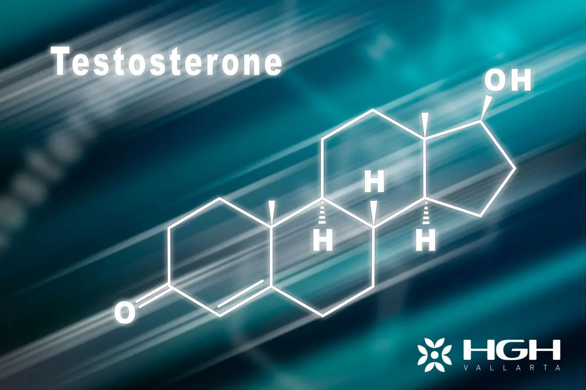 HGH Cycle 7 5 Combined HGH and Testosterone Cycle