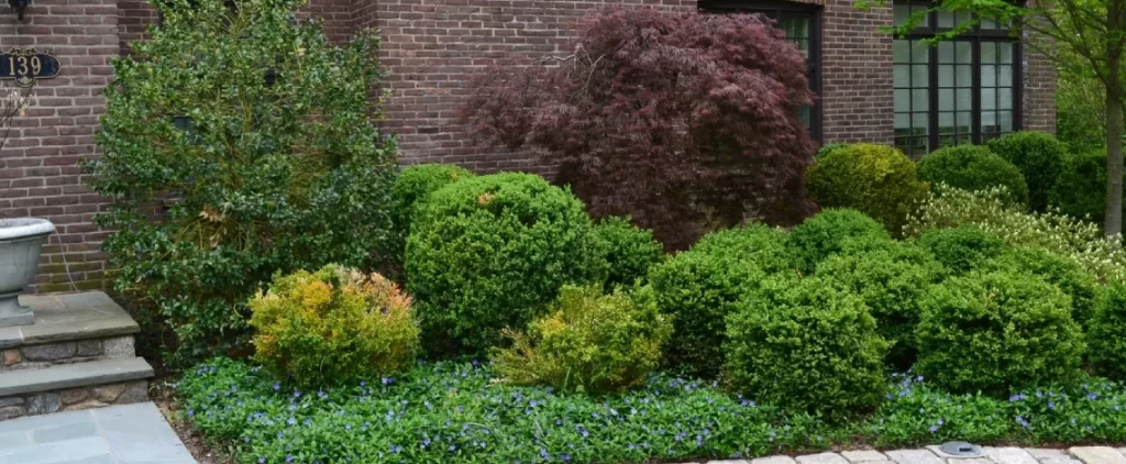 Plant placement in the garden to maximize sunlight and photosynthesis efficiency