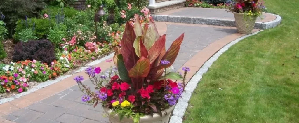 Proper plant location in landscaping to maximize sunlight and photosynthesis