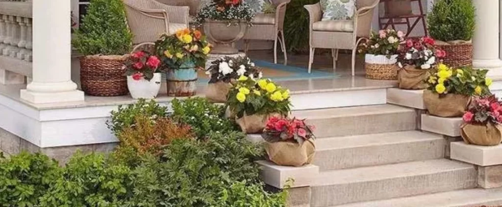 Elevated entryway decorated with potted plants and bush accents