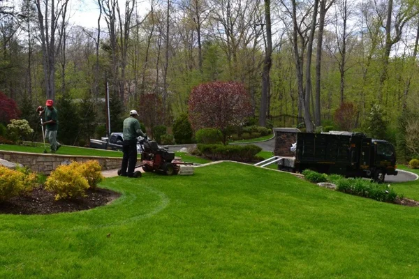 landscape maintenance new rochelle