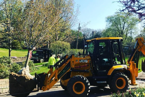 tree care near me in westchester county