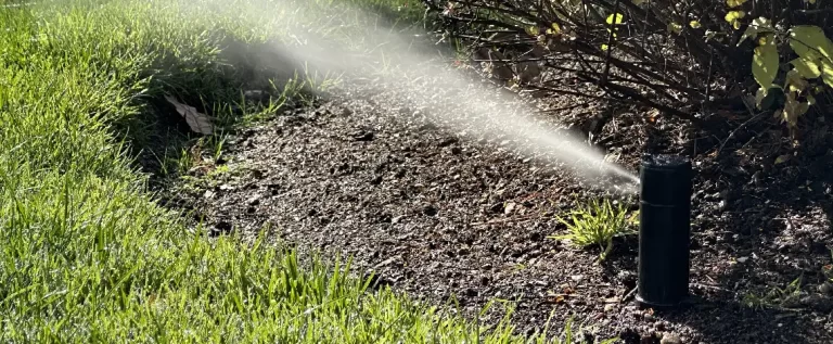 Best Irrigation Method for Raised Beds best-irrigation-method-raised-beds