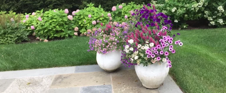 how outdoor lighting can emphasize the finer details of your paver patio in larchmont, ny