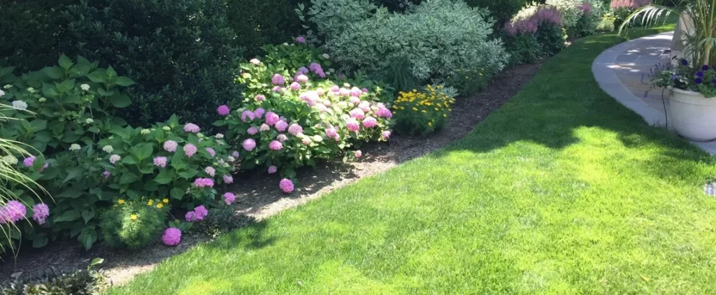 Landscaping For Beginners 10 landscaping for beginners