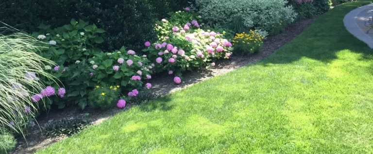 lawn care in scarsdale and larchmont ny