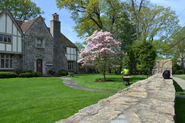 lawn care new rochelle