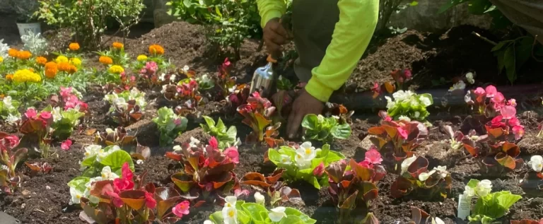 why is landscaping important