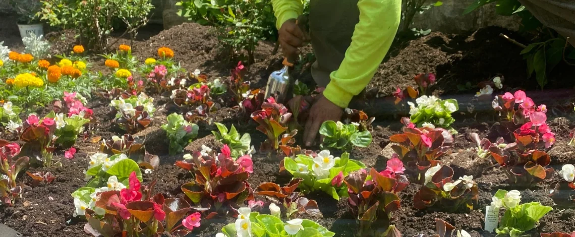 why is landscaping important