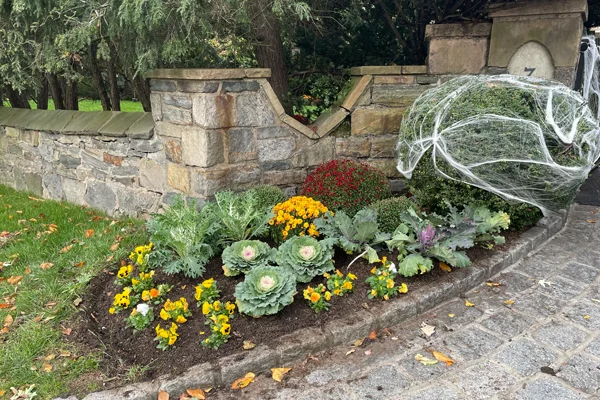 commercial seasonal color services in westchester ny