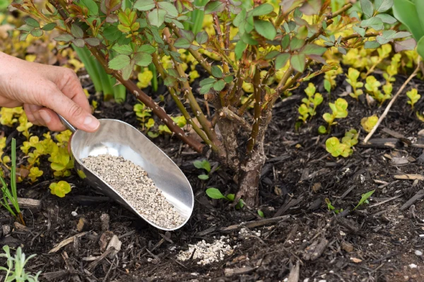 Custom fertilizer application improving soil nutrient balance and lawn health