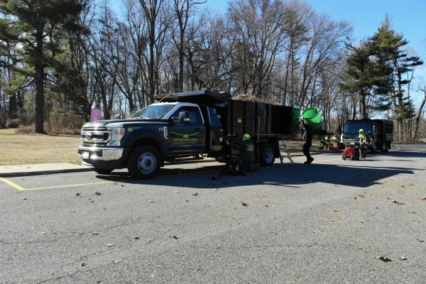 Full-service yard cleanup improving overall property appearance and health
