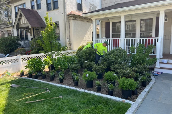 landscaper in larchmont ny