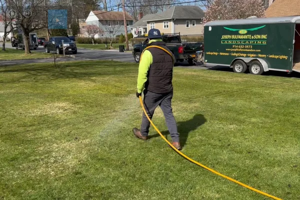 Professional lawn disease control targeting fungal infections for healthier grass