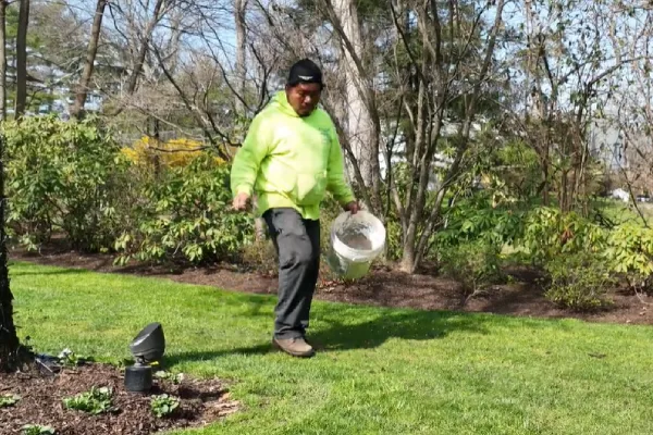 Fall overseeding service restoring thin lawns and improving grass density