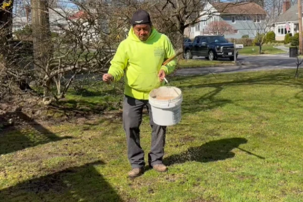 Overseeding service repairing thin lawns and promoting thicker grass growth