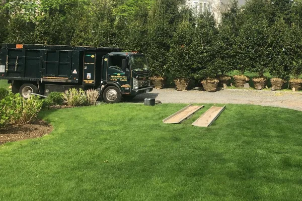 Preventative lawn disease management to protect turf