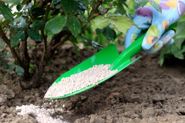 Seasonal fertilizer treatment promoting steady grass growth and color