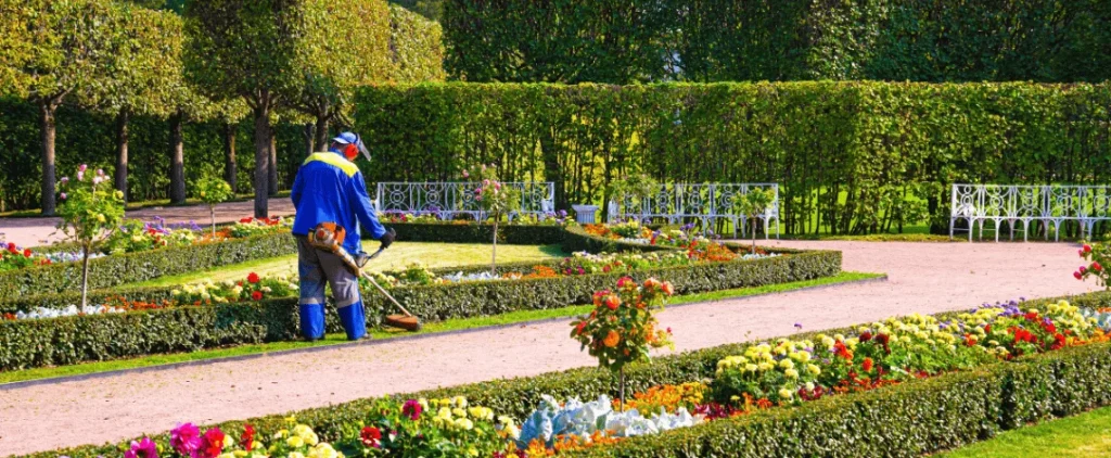 Landlord's Guide: Can You Deduct Landscaping Costs on a Rental Property in 2026? 9 deduct landscaping costs on a rental property