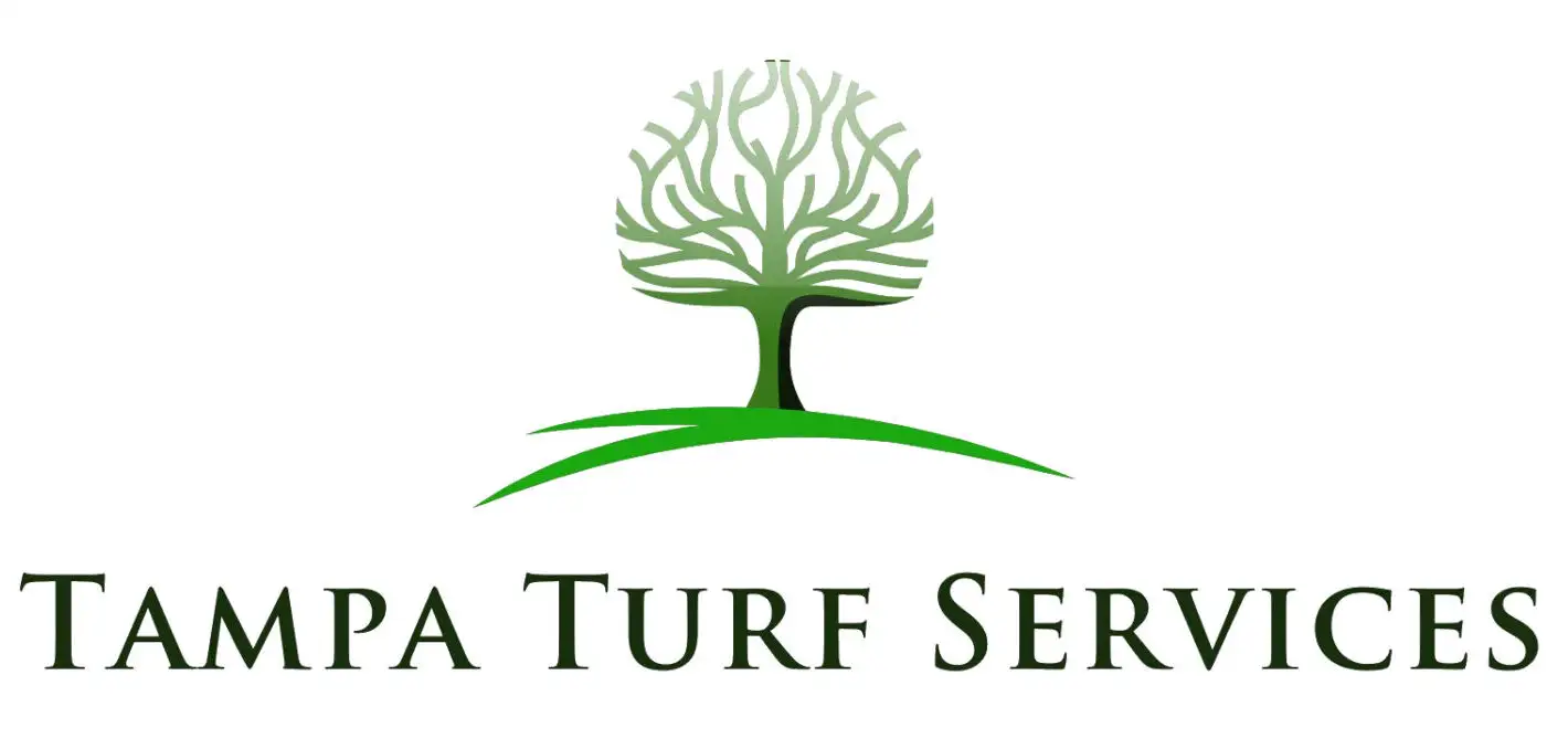 The official logo for Tampa Turf Services, featuring a stylized green tree icon above the company name in professional serif typography.