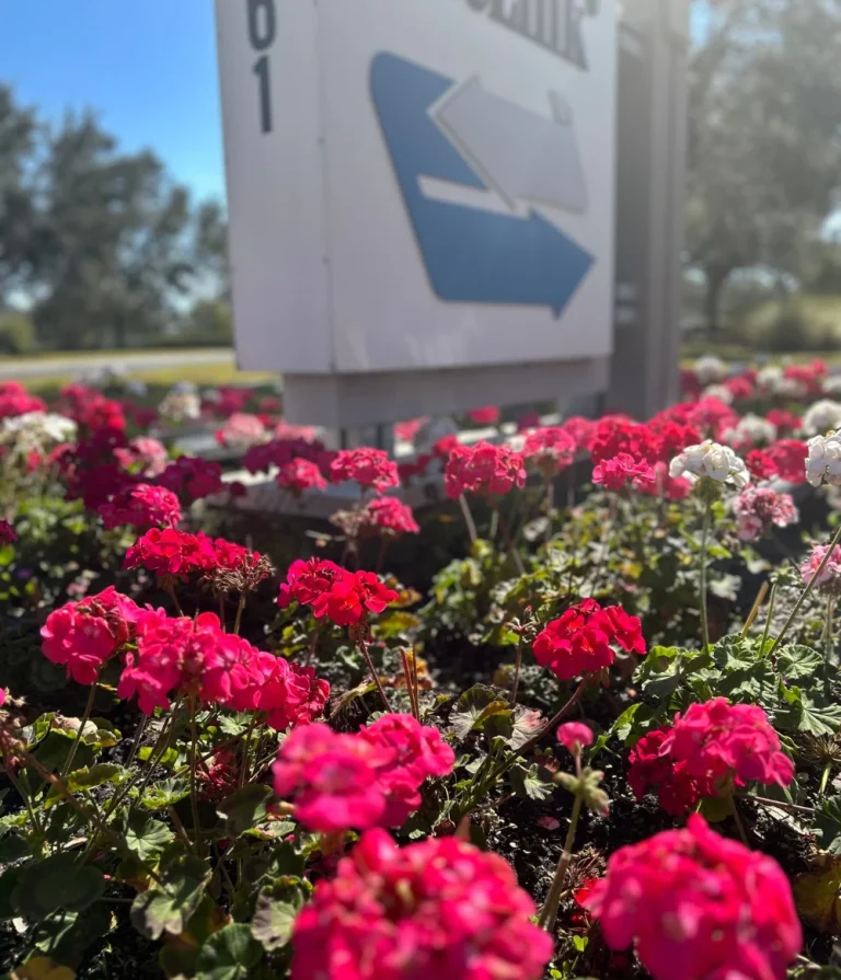 Close-up of vibrant pink seasonal flowers planted around a corporate monument sign, maintained by commercial landscaping services in Tampa.