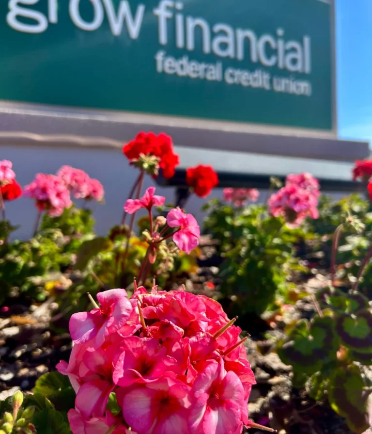 Close-up of bright pink and red seasonal flowers planted in front of a corporate credit union sign, maintained by commercial landscaping services in Tampa.