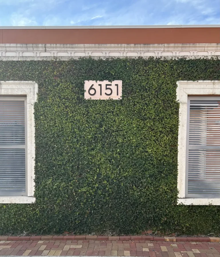 A neatly trimmed ivy wall on a commercial building exterior in Tampa, sitting above a clean brick paver walkway.