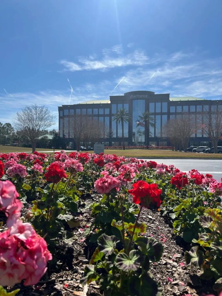 A corporate office building facade framed by vibrant pink and red flower beds and tall palm trees under a sunny blue sky, demonstrating expert commercial landscaping.