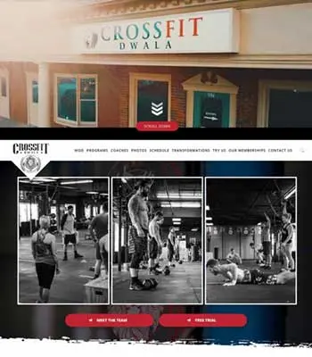 Case Studies