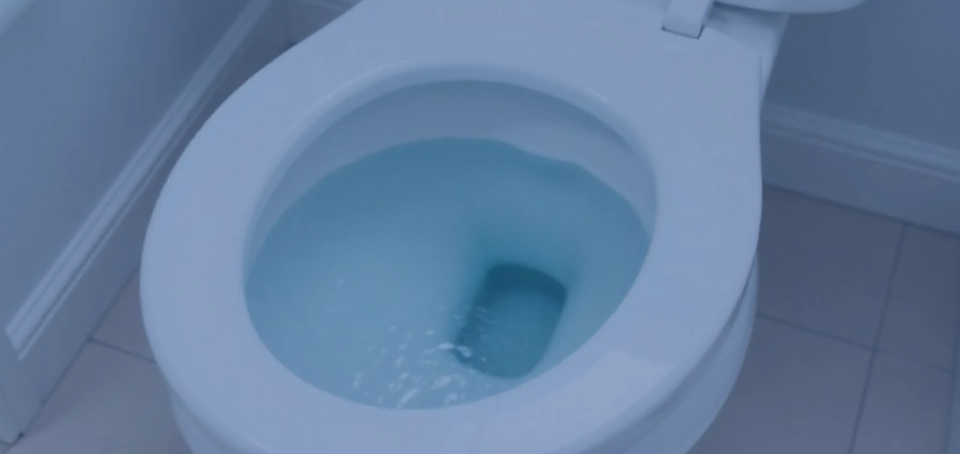 clogged toilet