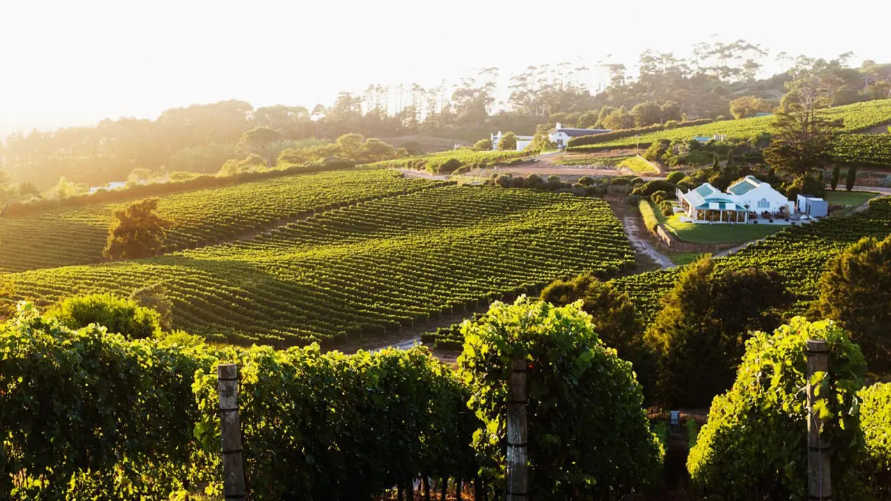 Cape-Winelands-Prem-Africa