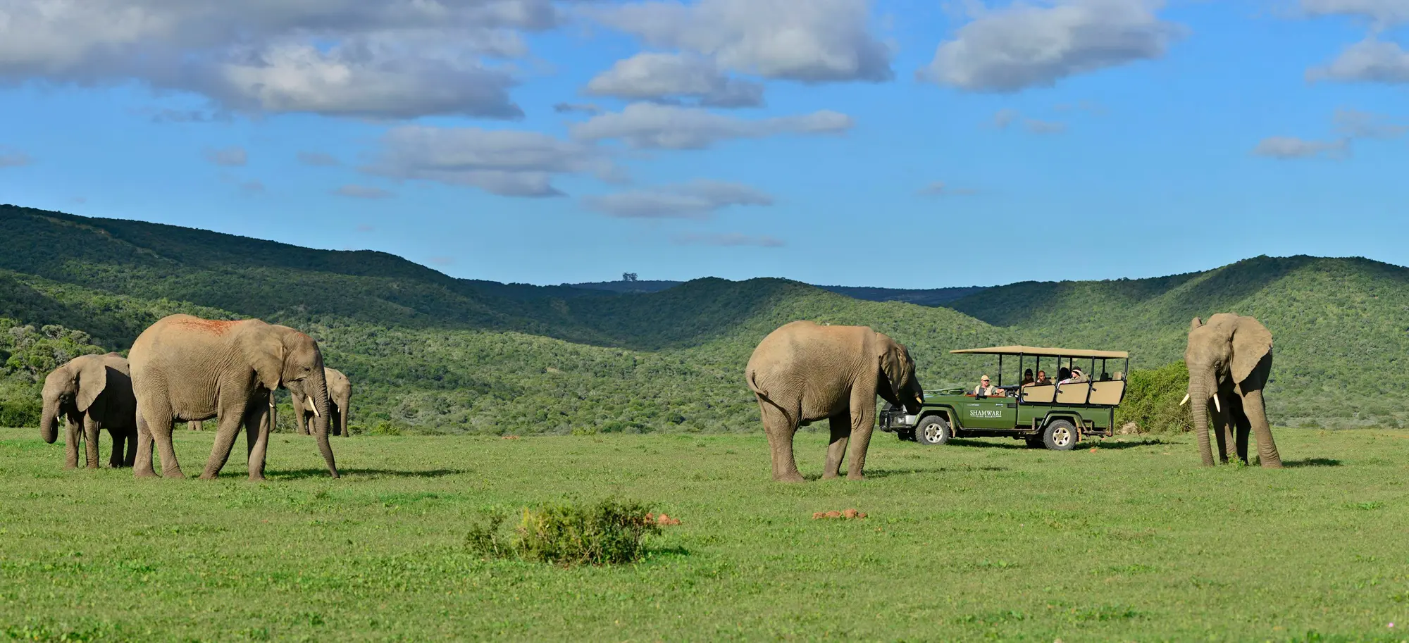 shamwari-header