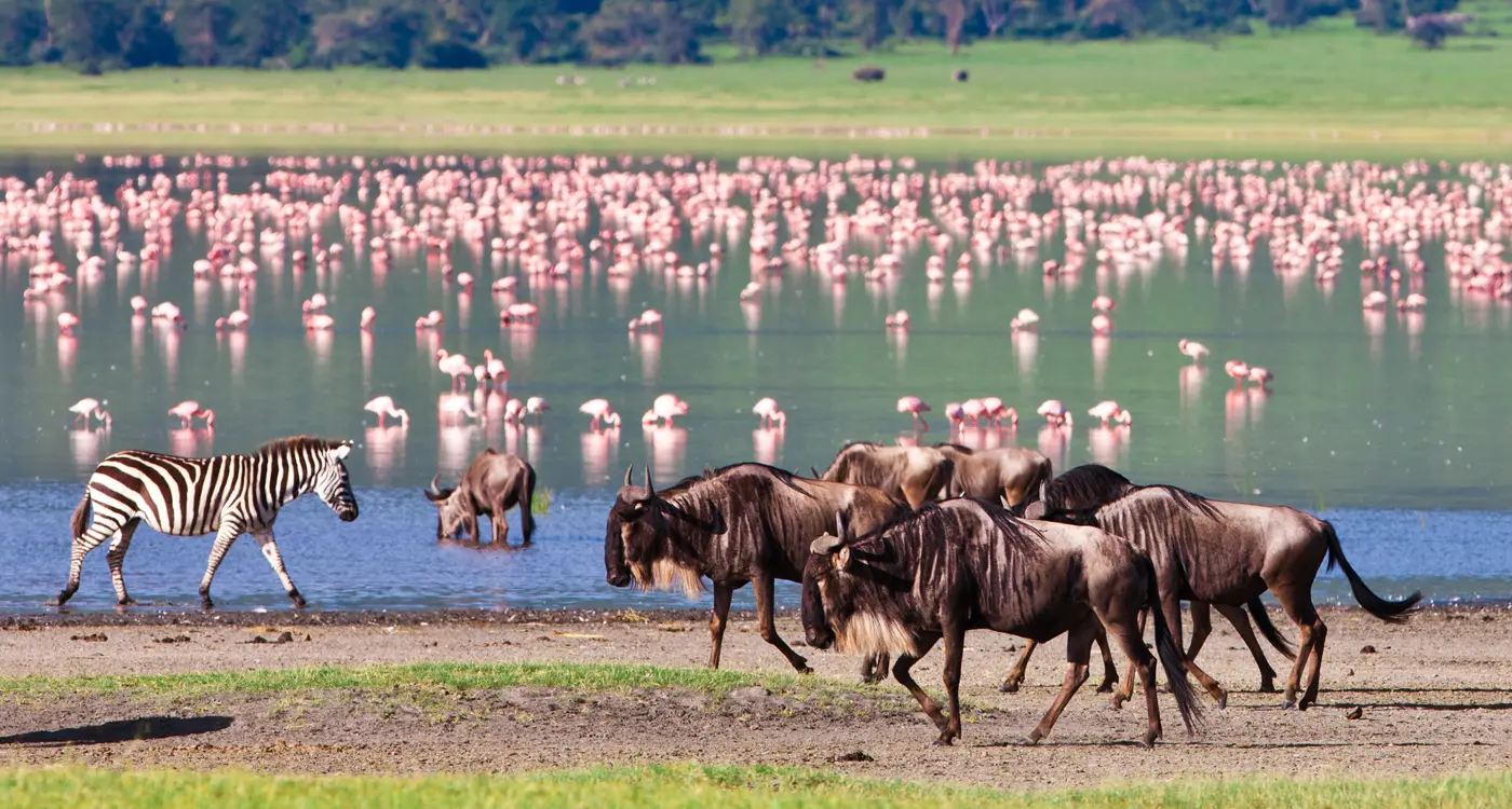 ngorongoro-crater