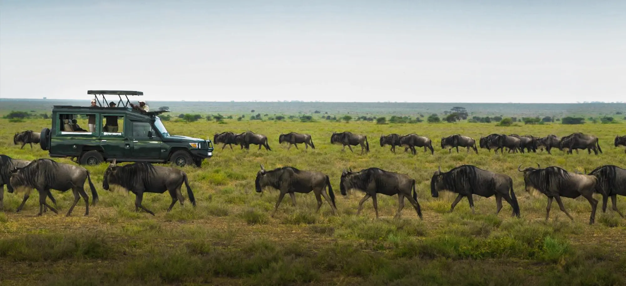 east-africa-header01