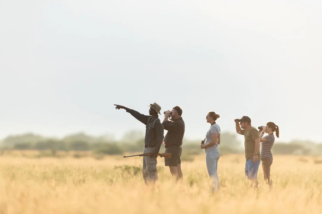 Wildlife hiking with armed tour guide in mala mala game reserve while on a luxury safari with premier Africa.