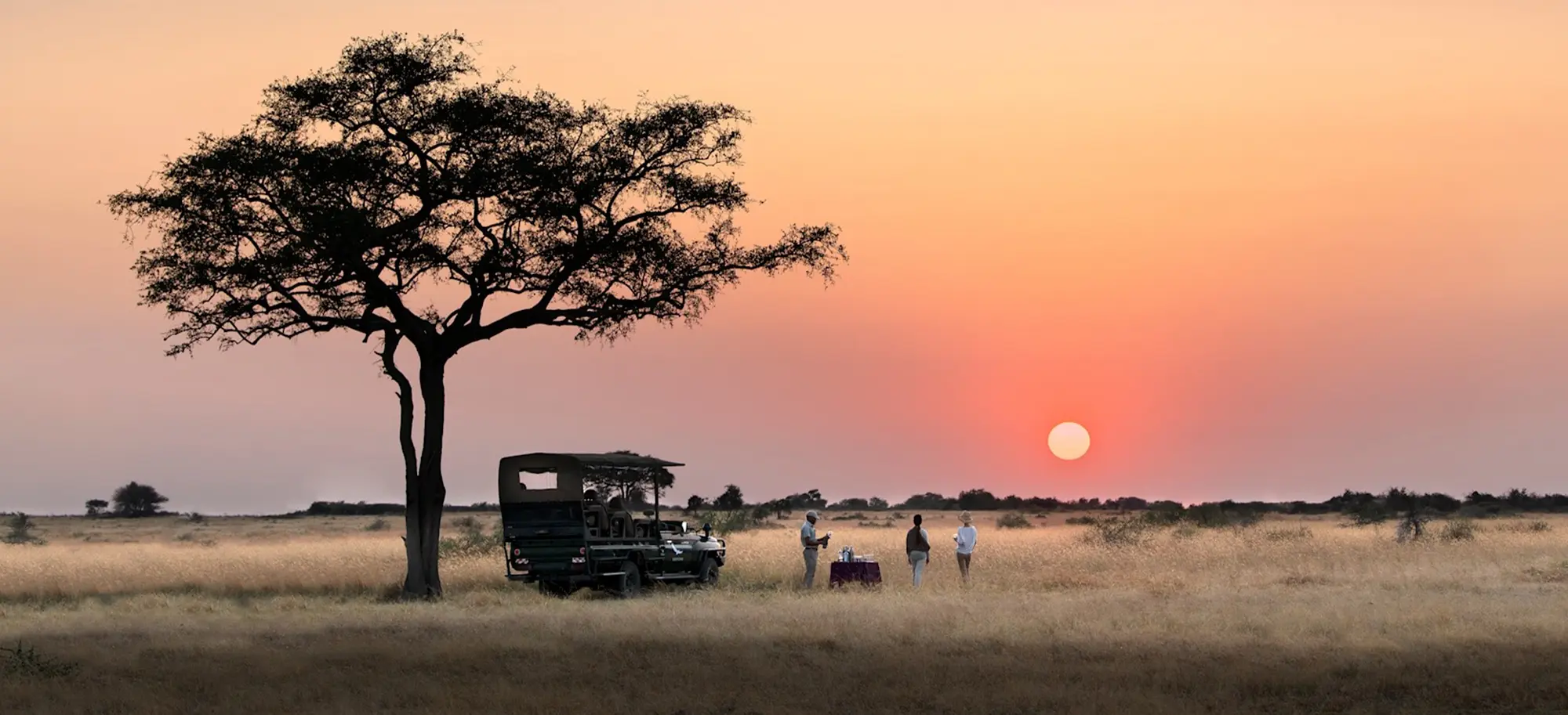 grumeti-header