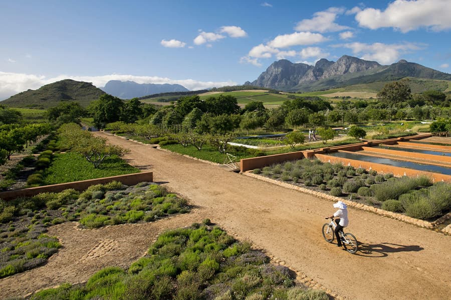View of winelands while on private wine tasting tour