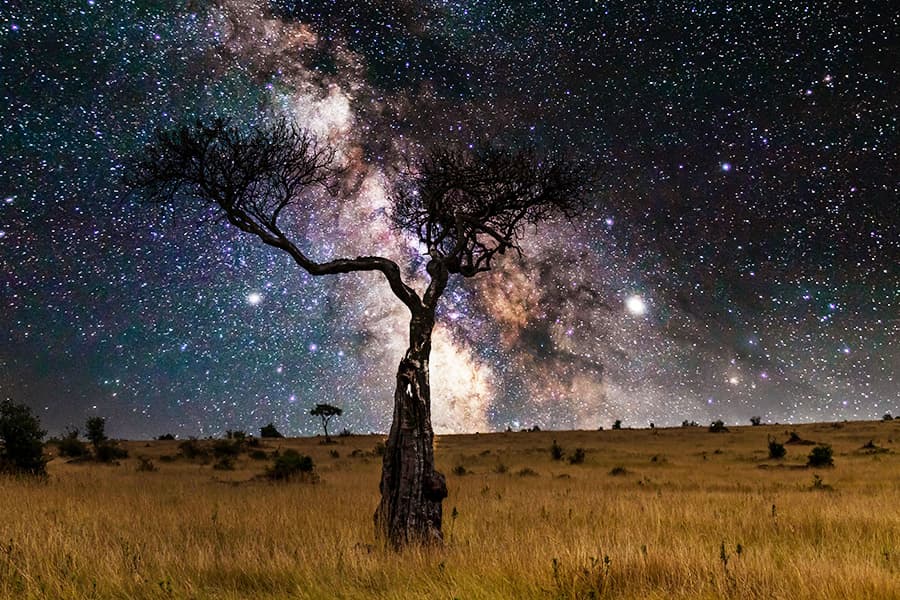 Star gazing while exclusive game drive at luxury accommodation in Grumeti Game Reserve.