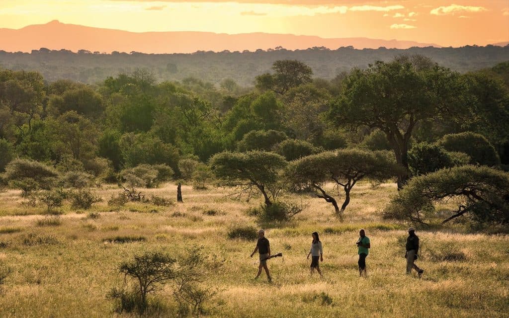 lion-sands-river-lodge-experiences-bush-walk