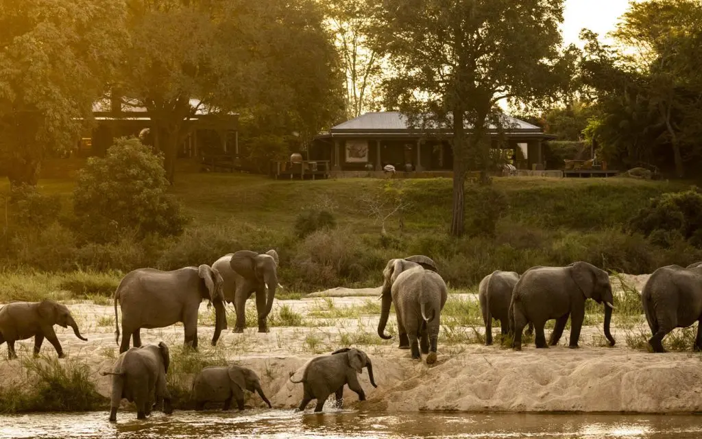mala-mala-rattrays-camp-riverfront-wildlife-viewing