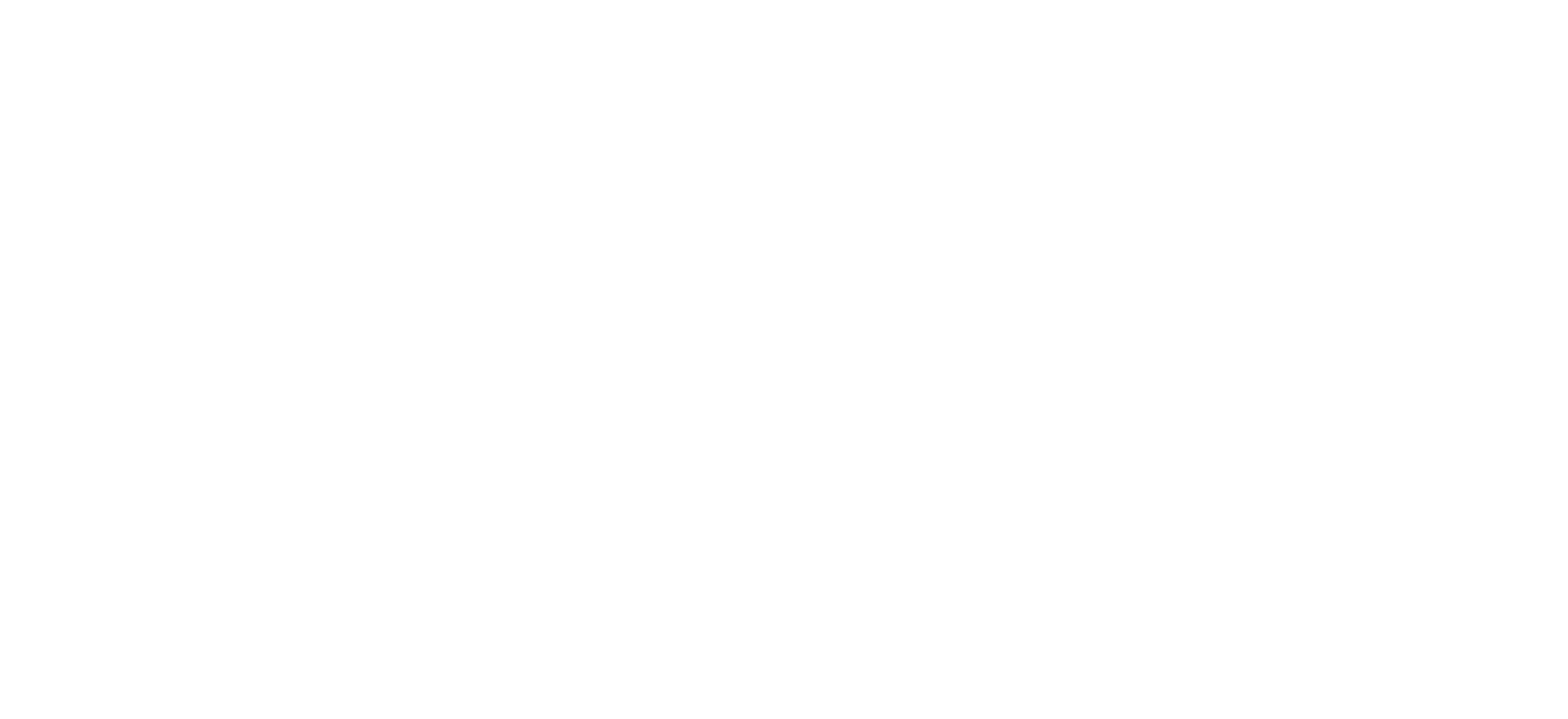premier africa white logo large