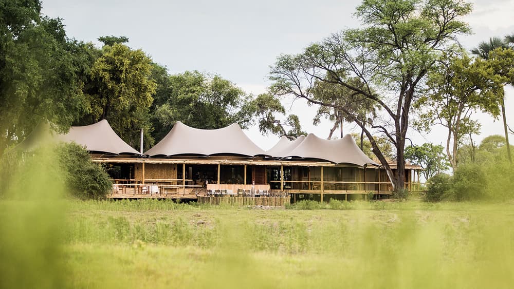 Mombo Camp, a luxury accommodation option at Moremi-reserve while on a private safari in Botswana.