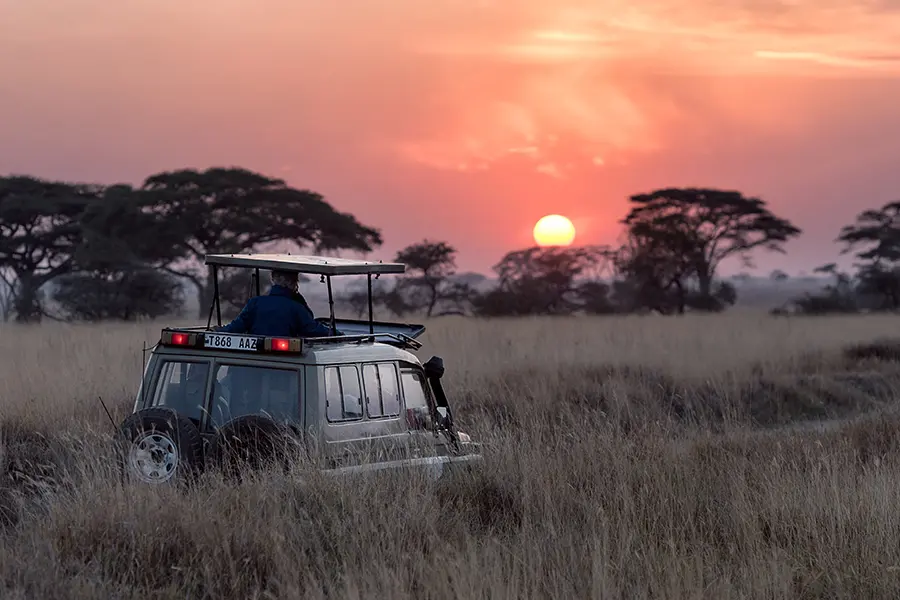 Private safari in Uganda at sunset
