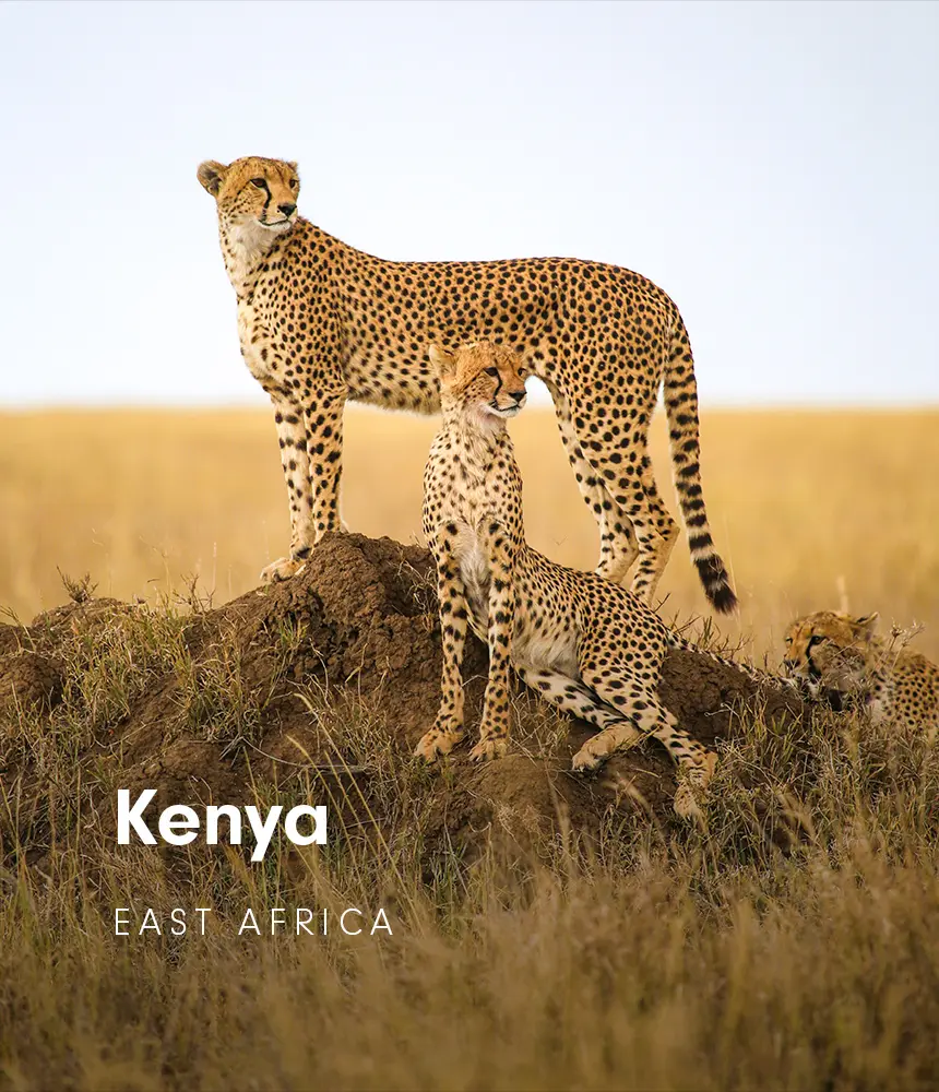 bespoke travel experiences to Kenya with premier Africa