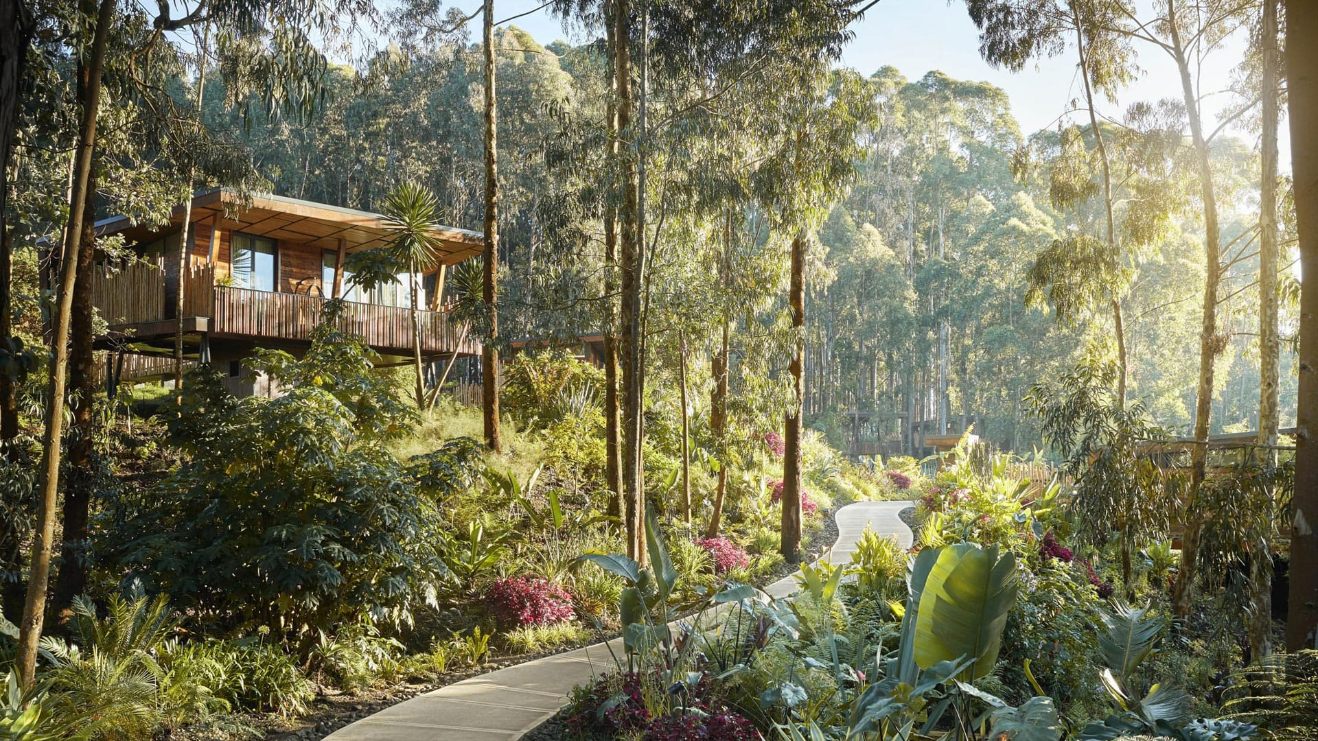 rwanda-one&only-gorillas-nest-featured-villa-header
