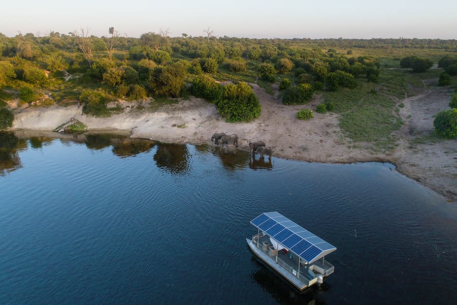 Wildlife viewing Elephants drinking from Chobe River while on a luxury boat ride tour in Chobe National Park, Botswana