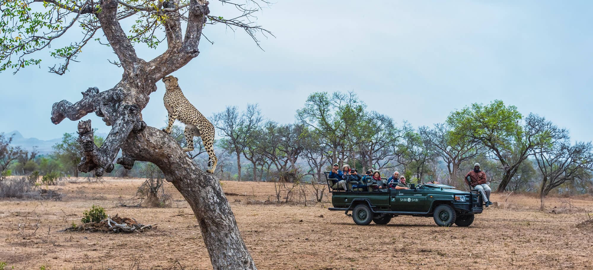 sabi-sands-header