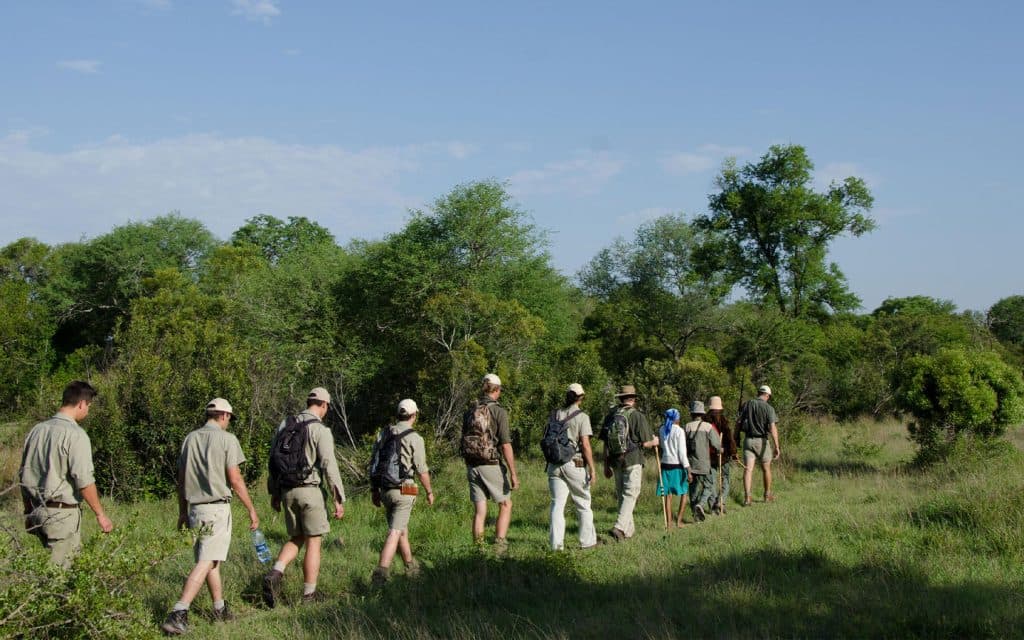 sabi-sabi-earth-lodge-experiences-bush-walk