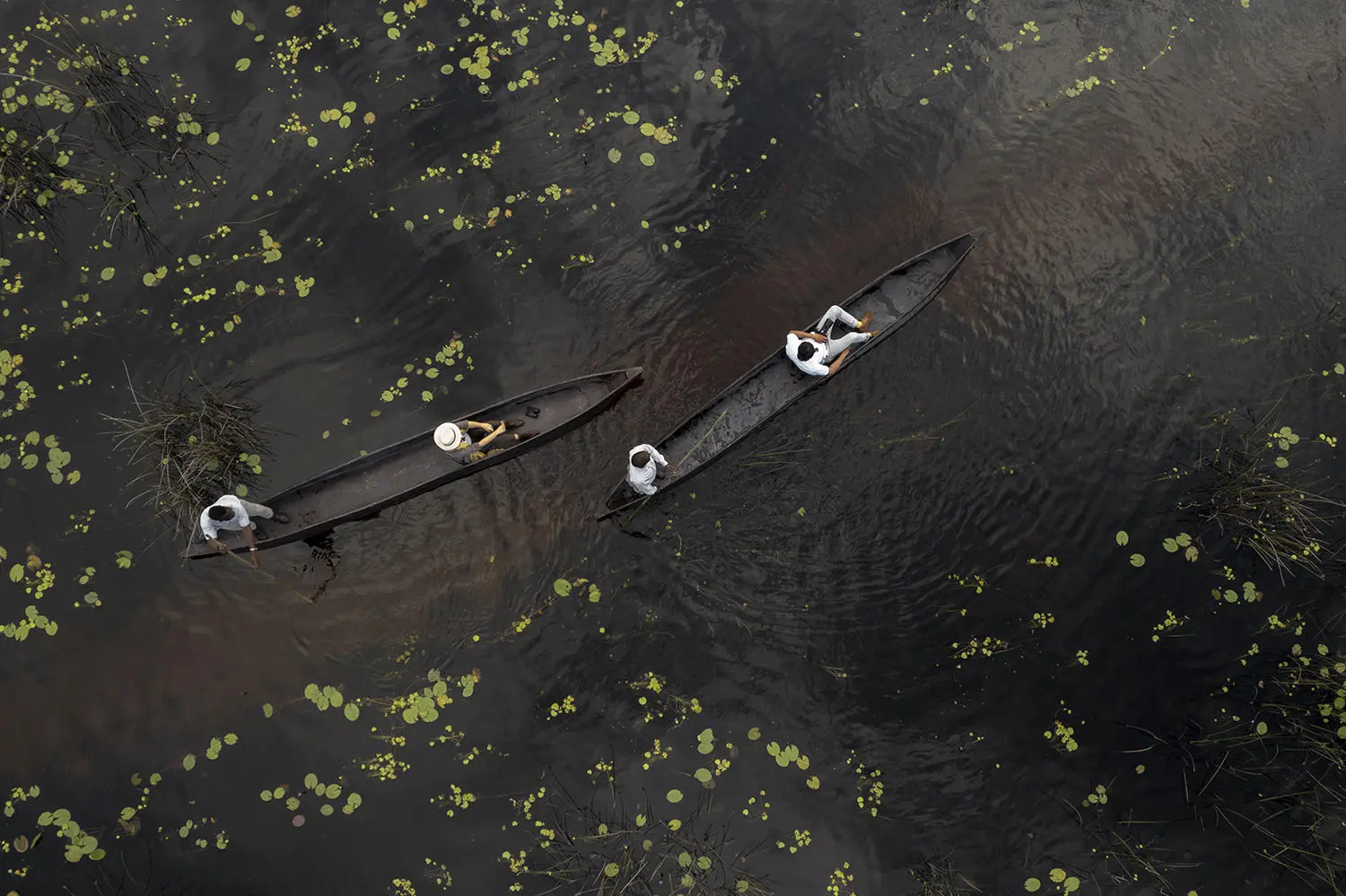 Private Mokoro boat ride at Moremi-reserve. Part of the luxury safari package at in Botswana.
